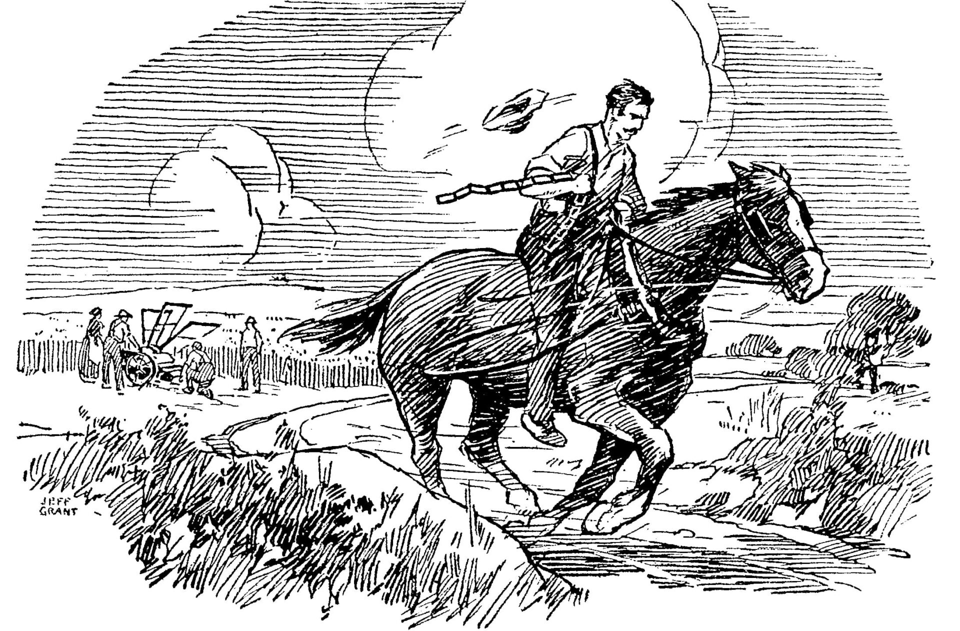 horseback 350_230